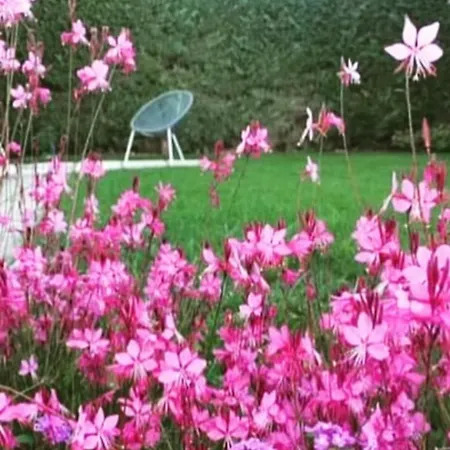 Holiday home Casagiardino *
